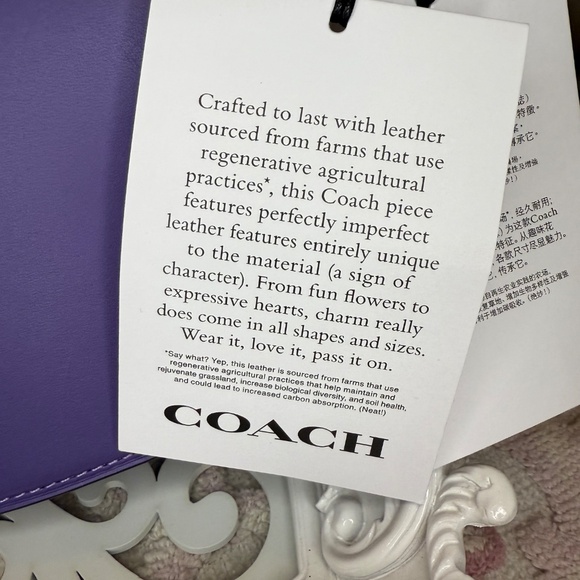 NWT Gorgeous COACH Light Purple Heart Bag CBF53 |Pride Collection 💜 🌈 - Picture 3 of 16